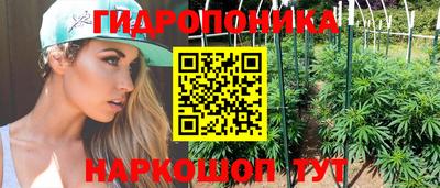 Альфа ПВП Гай