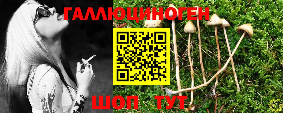 Псилоцибиновые грибы мицелий  Вход с VPN  Мичуринск 