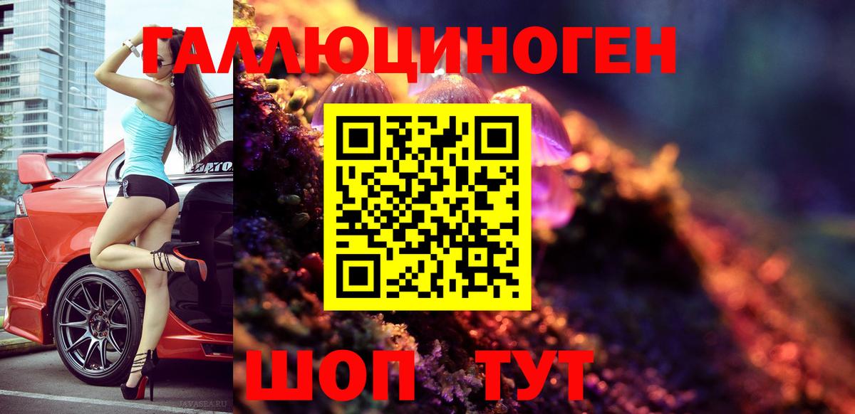 Галлюциногенные грибы Psilocybe Мичуринск